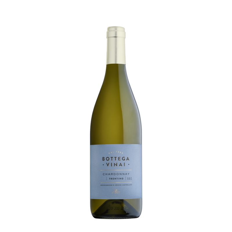 BOTTEGA VINAI CHARDONNAY DOC